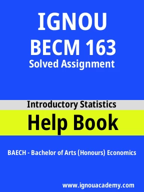 BECM 163 Solved Assignment