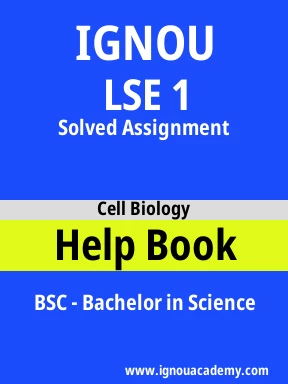 LSE 1 Solved Assignment