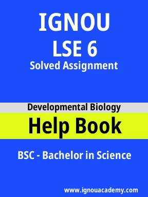 LSE 6 Solved Assignment
