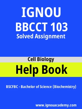 BBCCT 103 Solved Assignment