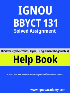 BBYCT 131 Solved Assignment