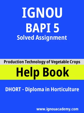BAPI 5 Solved Assignment