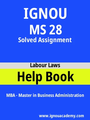 MS 28 Solved Assignment
