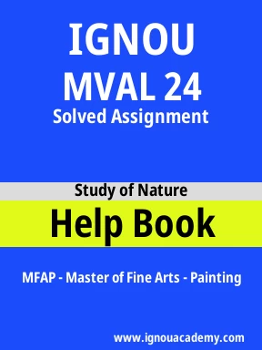 MVAL 24 Solved Assignment