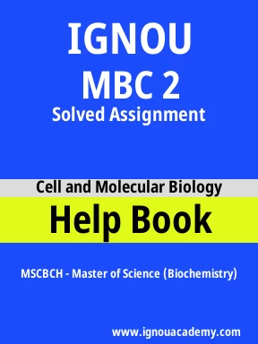 MBC 2 Solved Assignment