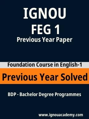 FEG 1 Previous Year Solved Question Paper