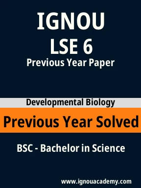 LSE 6 Previous Year Solved Question Paper