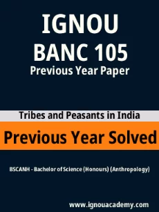 Image ignouassignments-ignouacademy-com-ignou-bscanh-previous-year-solved-papers-hindi-html-div-product-image-year-11441