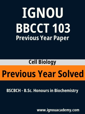BBCCT 103 Previous Year Solved Question Paper