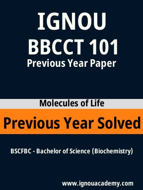 BBCCT 101 Previous Year Solved Question Paper