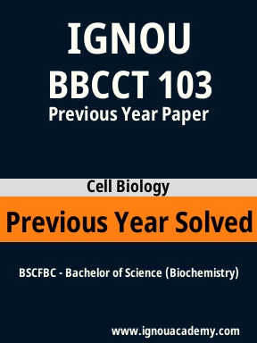 BBCCT 103 Previous Year Solved Question Paper
