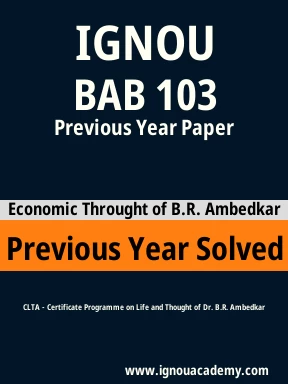 BAB 103 Previous Year Solved Question Paper