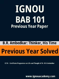 Image ignouassignments-ignouacademy-com-ignou-clta-previous-year-solved-papers-hindi-html-div-product-image-year-43691
