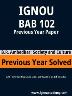 Image ignouassignments-ignouacademy-com-ignou-clta-previous-year-solved-papers-hindi-html-div-product-image-year-54112