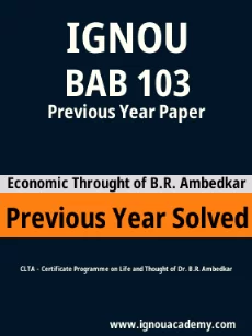 Image ignouassignments-ignouacademy-com-ignou-clta-previous-year-solved-papers-hindi-html-div-product-image-year-61066