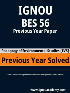 Image ignouassignments-ignouacademy-com-ignou-cppdpt-previous-year-solved-papers-hindi-html-div-product-image-year-56978
