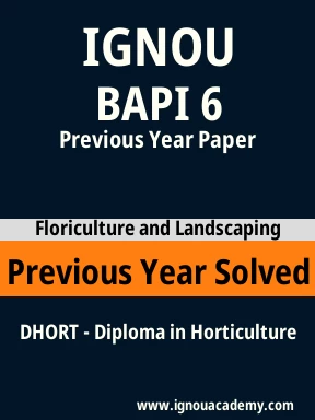 BAPI 6 Previous Year Solved Question Paper