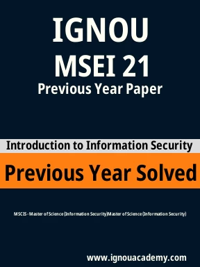 MSEI 21 Previous Year Solved Question Paper