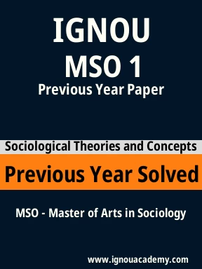 MSO 1 Previous Year Solved Question Paper