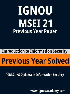 MSEI 21 Previous Year Solved Question Paper