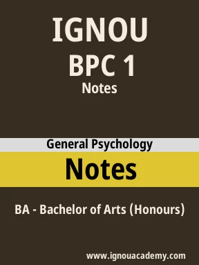 BPC 1 Solved Assignment