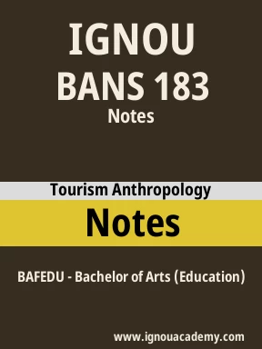 BANS 183 Solved Assignment