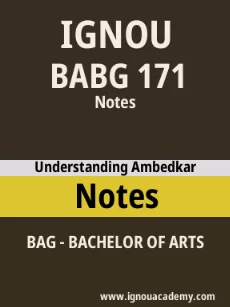 Image ignouassignments-ignouacademy-com-ignou-bag-notes-html-div-product-image-ignou-48146