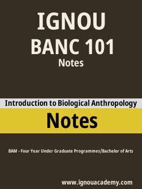 BANC 101 Solved Assignment