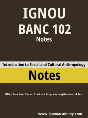 BANC 102 Solved Assignment