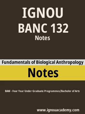 BANC 132 Solved Assignment