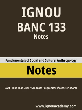 BANC 133 Solved Assignment