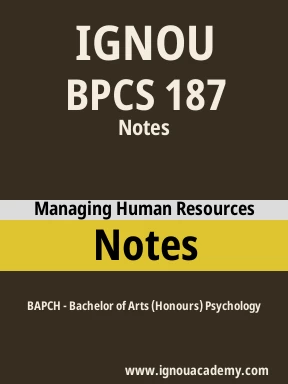 BPCS 187 Solved Assignment