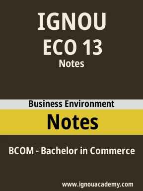 ECO 13 Solved Assignment