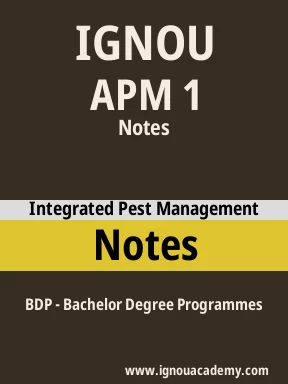 APM 1 Solved Assignment
