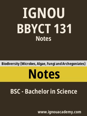 BBYCT 131 Solved Assignment