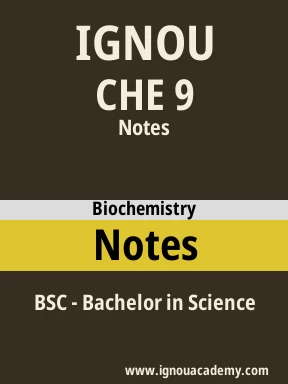 CHE 9 Solved Assignment