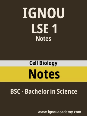 LSE 1 Solved Assignment