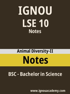 LSE 10 Solved Assignment