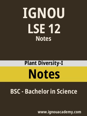LSE 12 Solved Assignment