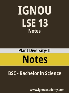 LSE 13 Solved Assignment