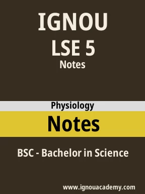 LSE 5 Solved Assignment