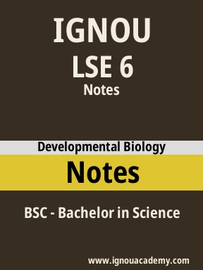 LSE 6 Solved Assignment