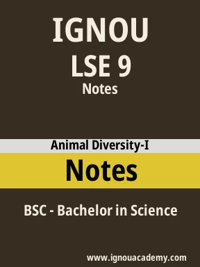 LSE 9 Solved Assignment
