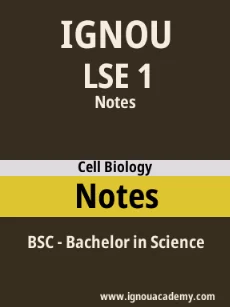 Image ignouassignments-ignouacademy-com-ignou-bsc-notes-html-div-product-image-notes-70355