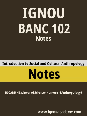 BANC 102 Solved Assignment