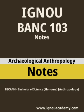 BANC 103 Solved Assignment