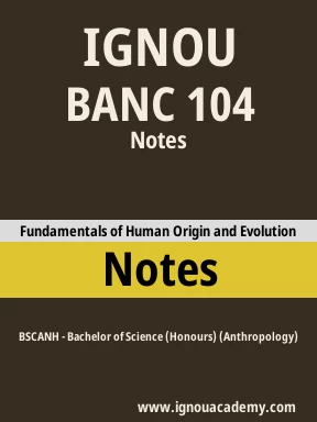 BANC 104 Solved Assignment