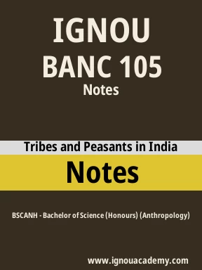 BANC 105 Solved Assignment