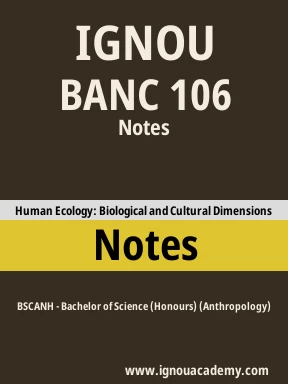 BANC 106 Solved Assignment