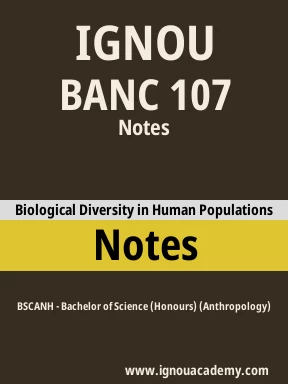 BANC 107 Solved Assignment